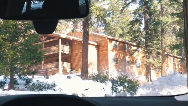 Road Trip To Sequoia National Park