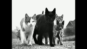 андеграунд бит + минус для рэпа + underground type beat (prod.by Jackal)