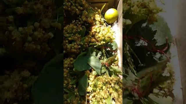 21 июня 2021 г. смотреть онлайн