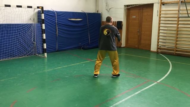 chen shi xinyi hunyuan 24 step form смотреть онлайн