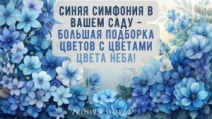 Синяя симфония в вашем саду - Большая подборка цветов с цветами цвета неба!👍