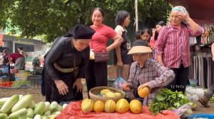 17 Year Old Single Mother - Daily work on the farm and harvesting melons - ly tu ca