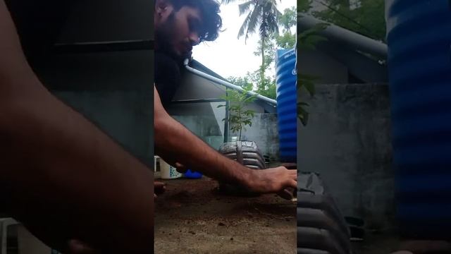 How to plant a curry leaves plant and tulasi & Chilli plant.. смотреть онлайн