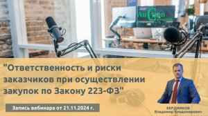 Ответственность и риски заказчиков при осуществлении закупок по Закону 223-ФЗ (запись от 21.11.2024)