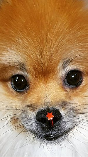 Нужно ли прощать обиды?