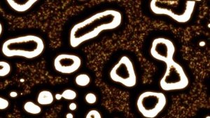 Moogwai - Viola (Driftmoon & Robert Nickson Pres. Astrosphere Extended Remix)