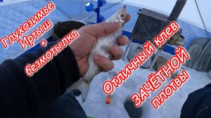Глухозимье Иртыш + безмотылка Отличный клев ЗАЧЁТНОЙ Плотвы💪