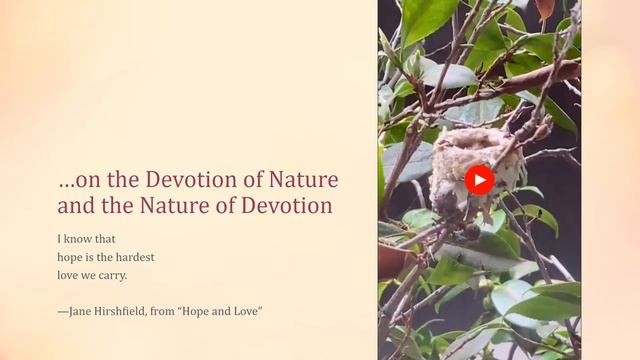 Barbara Chung, May 16, 2023 смотреть онлайн