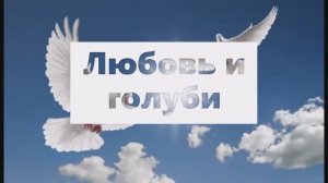 ЛЮБОВЬ И ГОЛУБИ ролик