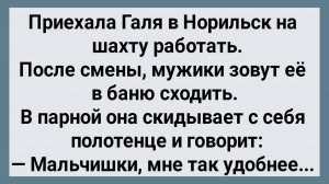 Как Галя в Норильске На Шахте Работала! Сборник Свежих Анекдотов! Юмор!