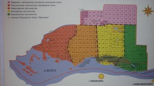 06.05.1995г.- Посёлок Сосновка - Заволжье Чувашии, Россия.