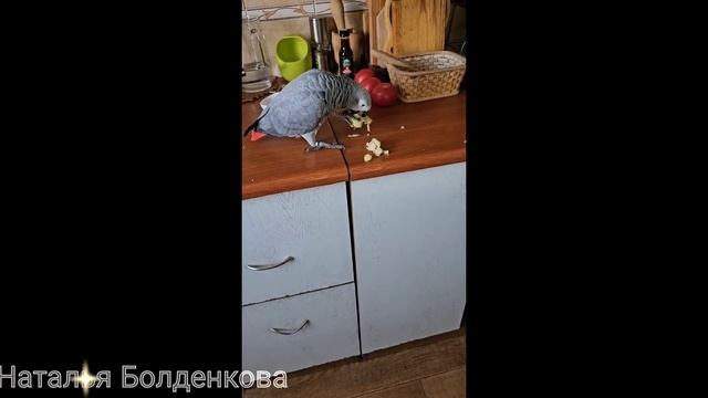Добываю》Заготавливаю》Борюсь с мухами.. смотреть онлайн