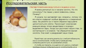 Хорошие факты о луке