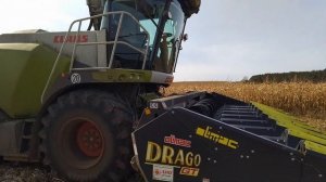 Эффективная технология заготовки корнажа в трудных климатических условиях.