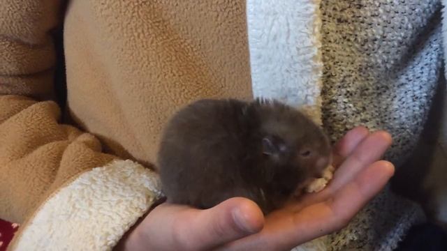 Девчонки в Старбаксе! смотреть онлайн