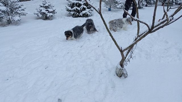 Первая прогулка смотреть онлайн