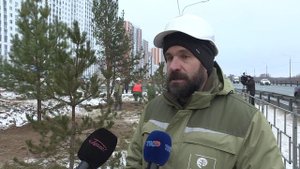 Посадка деревьев, ЖК Еврокласс 10.12