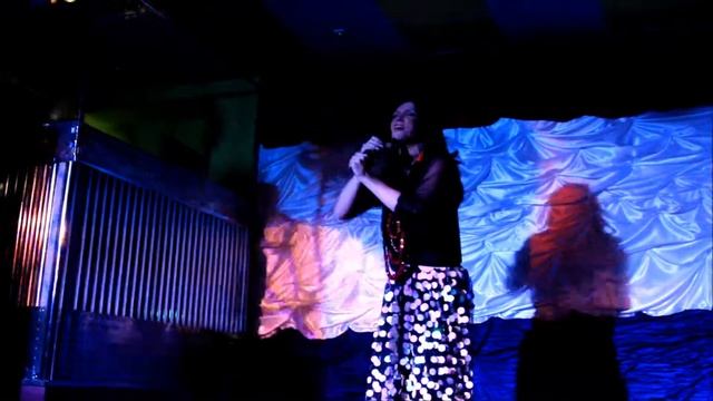 Дионис Кельм двойник Ротару - Червона рута Запорожье 2013 смотреть онлайн