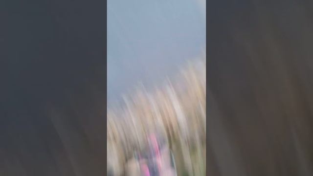 9 октября 2022 г. смотреть онлайн