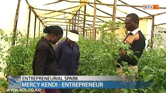 ENTREPRENEURIAL SPARK:  AgriBusiness in Greenhouses. prt1