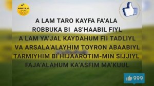 Fil surasi | Yod olish 30 marta | фил сураси ёд олиш | fil suresi | fil surəsi |في سورسي #филсурас
