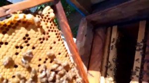 Как я вывожу маток по Кашковскому в случае применения метода Демари. 3.