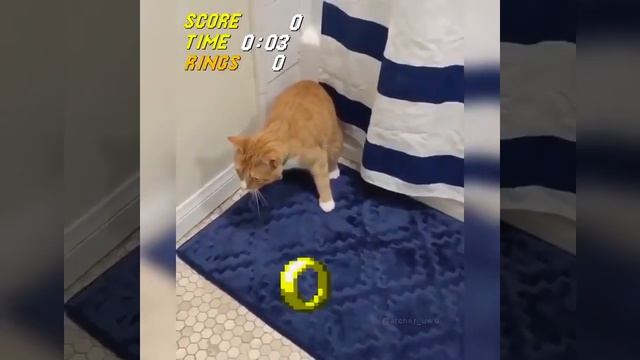 кот, котейка собрал монетки кувырком смотреть онлайн