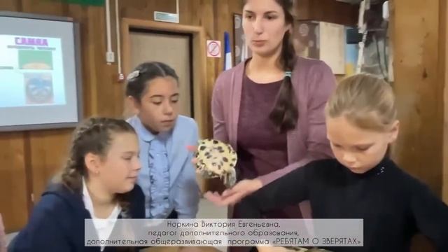 Норкина смотреть онлайн