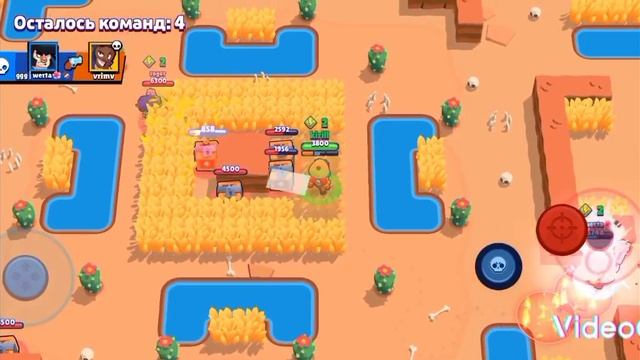 сыграл в бравл старс собрал все звёзды! смотреть онлайн