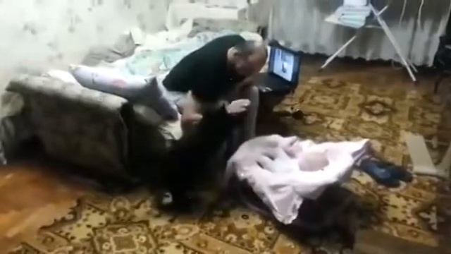 Кот защищает ребенка. Инстинкт) смотреть онлайн