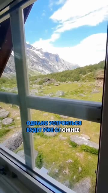 Сколько зарабатывают приезжие в Эстонии смотреть онлайн