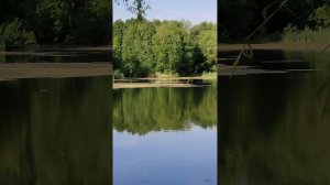 Спасское-Лутовиново. Малоизвестный маршрут