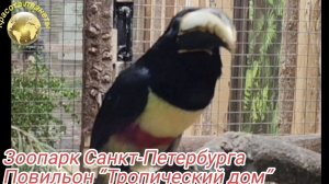 "Тропический дом" повильон в Зоопарке Санкт-Петербурга