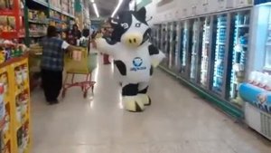 Тацующая карова