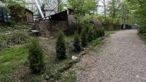 Сочинский национальный парк / Sochi National Park