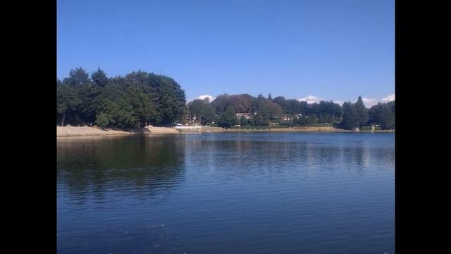 Aframomum melegueta - Wikipedia Article Audio смотреть онлайн