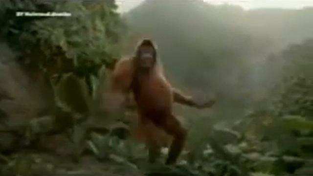 Катя лаем смотреть онлайн