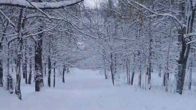 ProShow Slideshow    Зима в Сороках смотреть онлайн