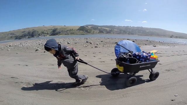 play time at the beach - sonoma coast смотреть онлайн