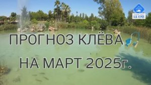 Прогноз клёва🎣 Лунный календарь рыбака на март 2025г.