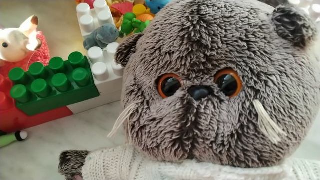 что любит делать Басик 🐈⬛ смотреть онлайн