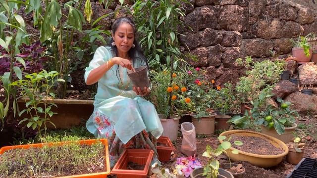 Dr Aruna Viswanathan - Formula for Planting/ Home Kitchen Garden