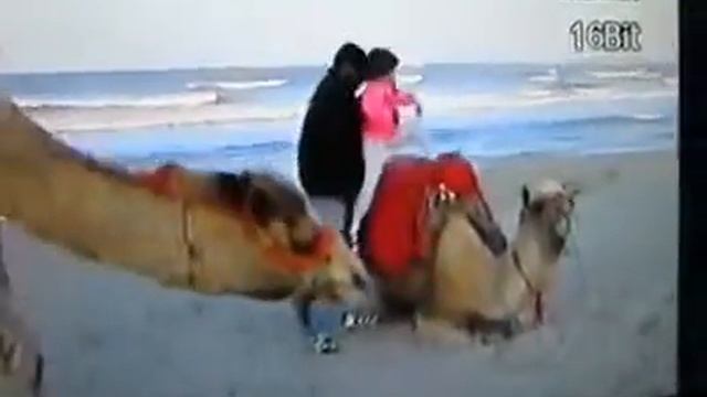 Malá Raduli a velbloud ( 7 let) смотреть онлайн