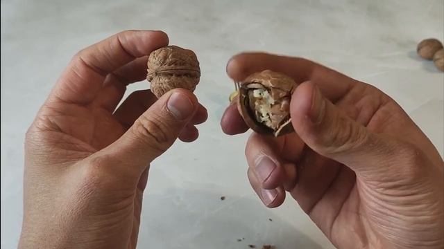 Ореховая битва. Выпуск 12 смотреть онлайн