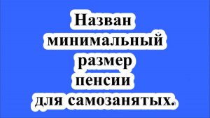 Назван минимальный размер пенсии для самозанятых.