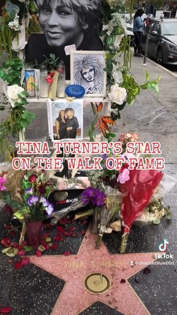 Tina Turner’s Memorial on the Walk of Fame | A Dead in Hollywood short смотреть онлайн