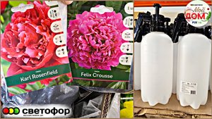 💞В Светофор привезли Пионы, ирисы, удобрения и другие новинки февраль 2025💞