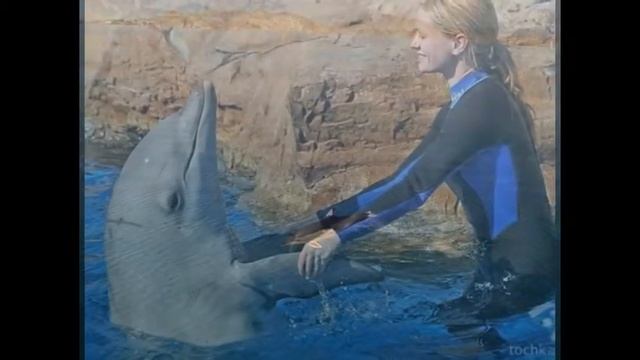 Мое слайд-шоу смотреть онлайн