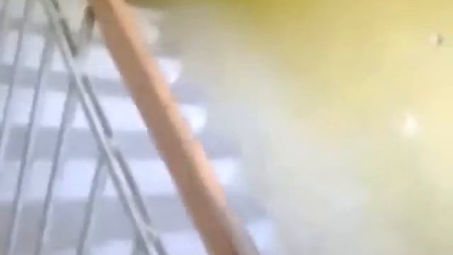 Коровы рулят смотреть онлайн