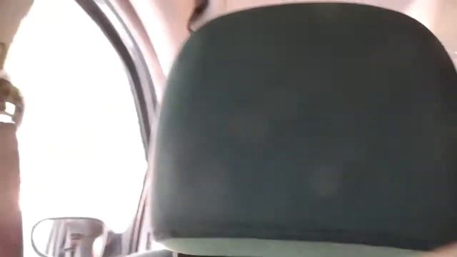 Стерилизация Бони с минсельхоза смотреть онлайн